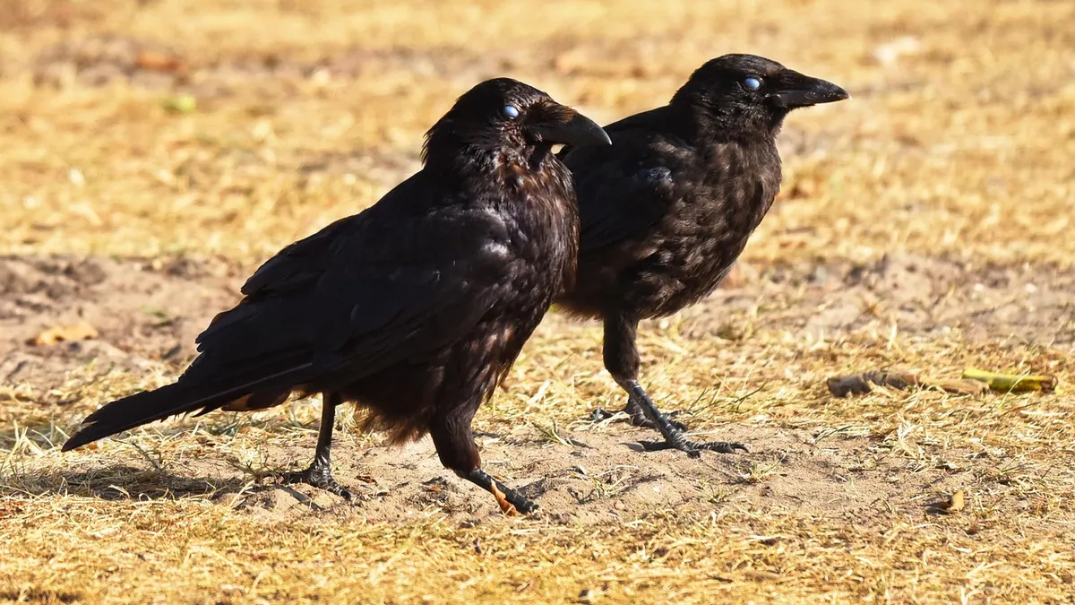 phân biệt đàn ông gia trưởng với đàn ông trưởng thành có chính kiến — PHI my.aphica.com