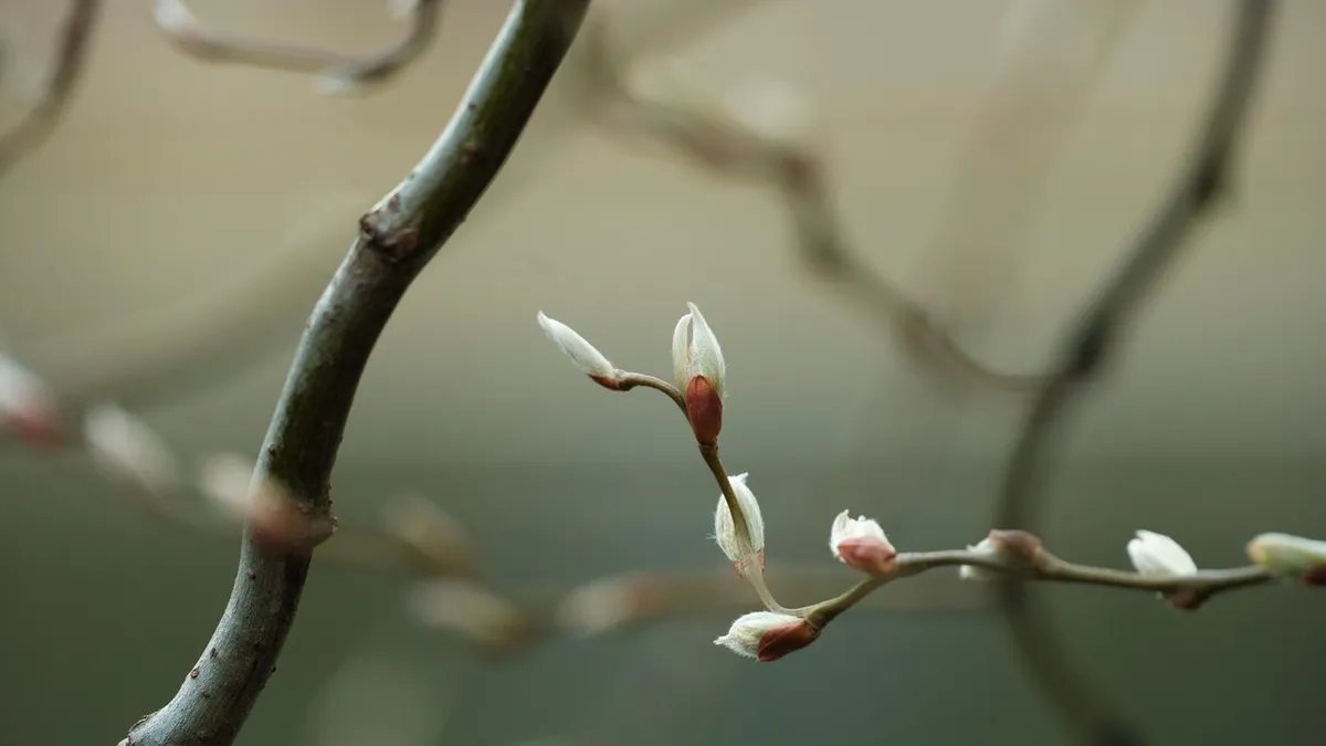 vì sao khó nhận ra dấu hiệu đàn ông tính toán từ sớm trong mối quan hệ — PHI my.aphica.com